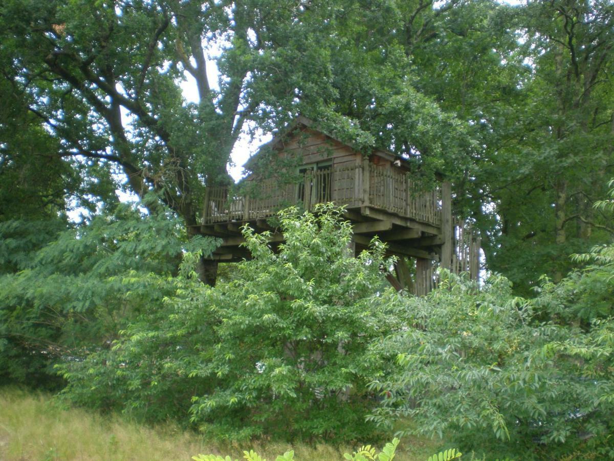 cabane perchée Solférino Extérieur photo