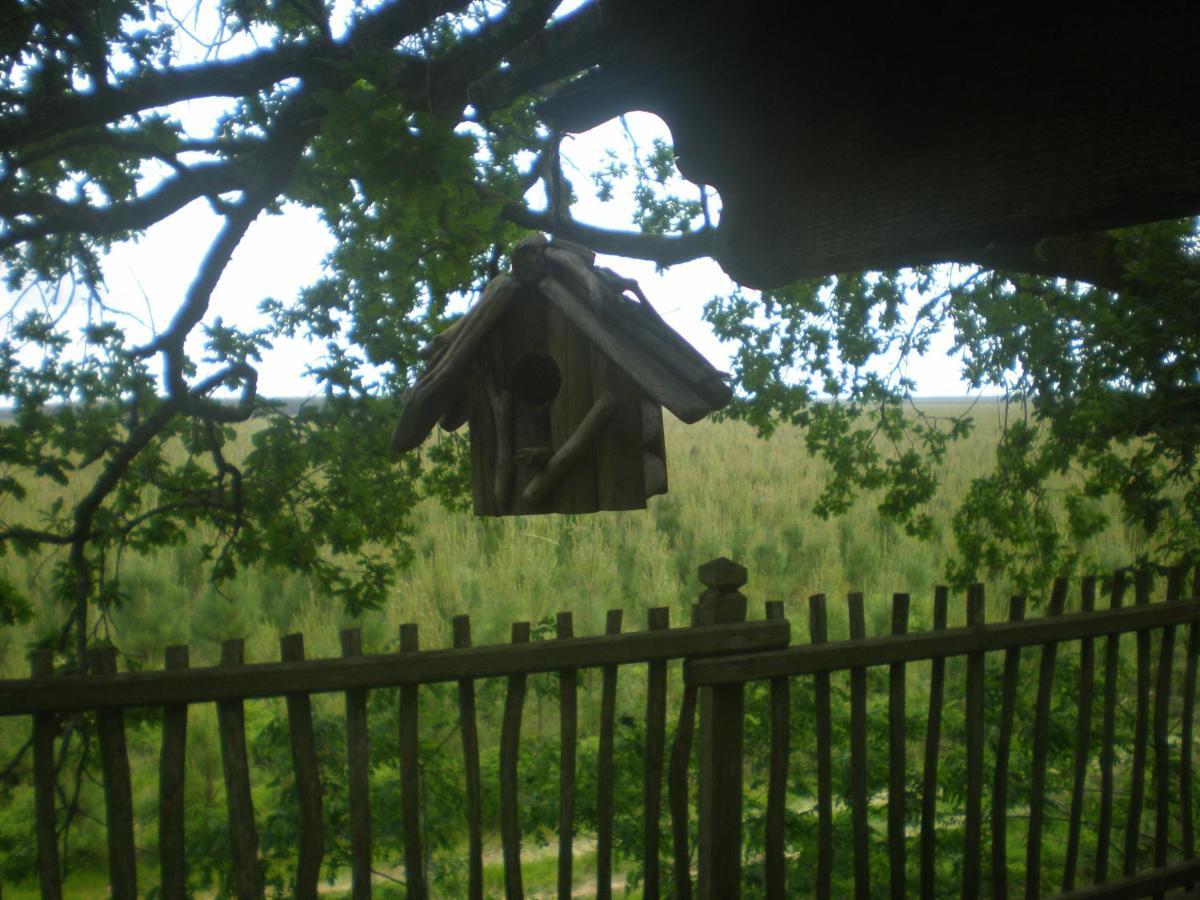 cabane perchée Solférino Extérieur photo